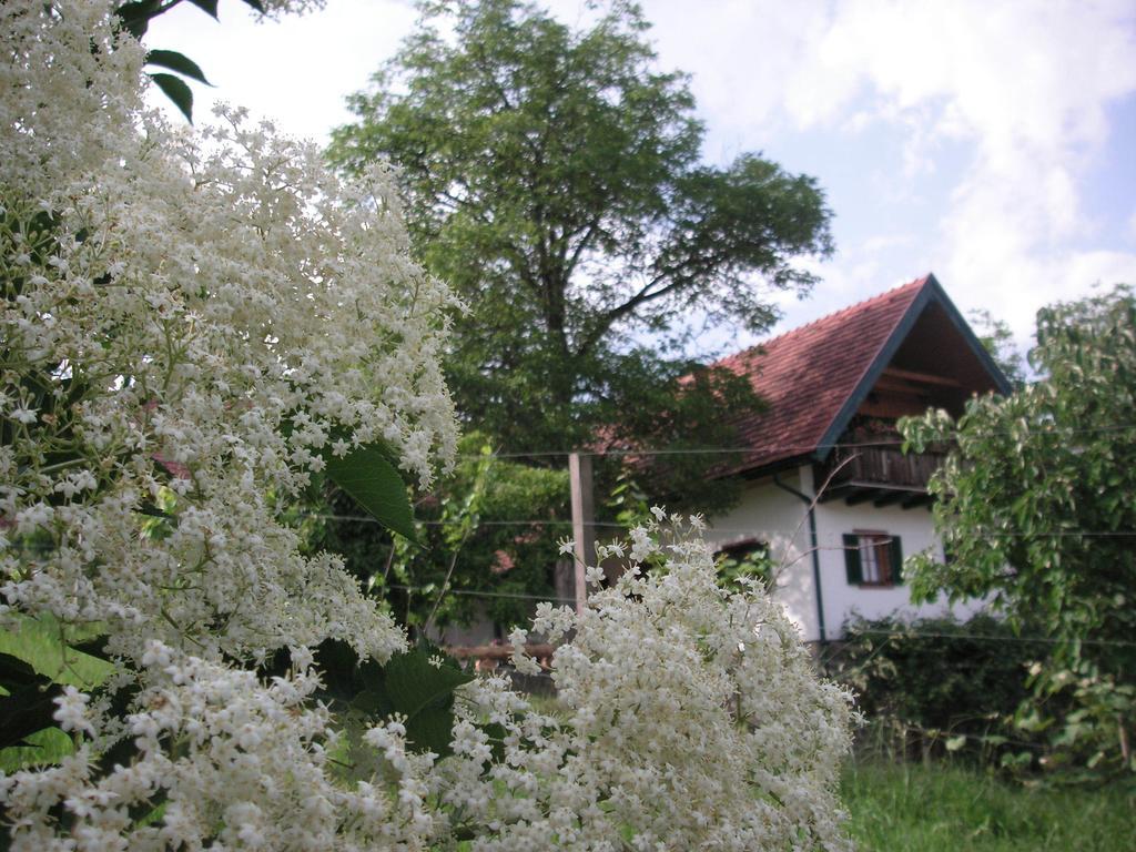 Villa Bauernhof Grain Feldbach  Exterior foto